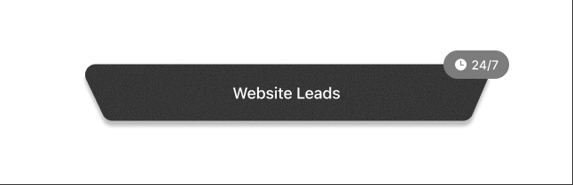 Website Leads